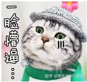 一脸懵圈表情包图片圆脸