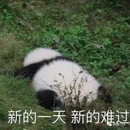 熊猫狗图片表情包啊哈