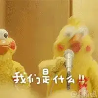  点艺开工还在家养肉呢