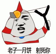  月饼系列斗图表情包丢雷楼某的五仁月饼