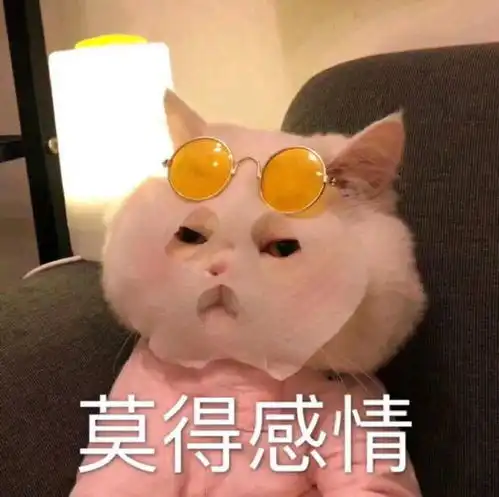  幽默笑话她对我投来了温柔求助的目光,表情惹人怜爱