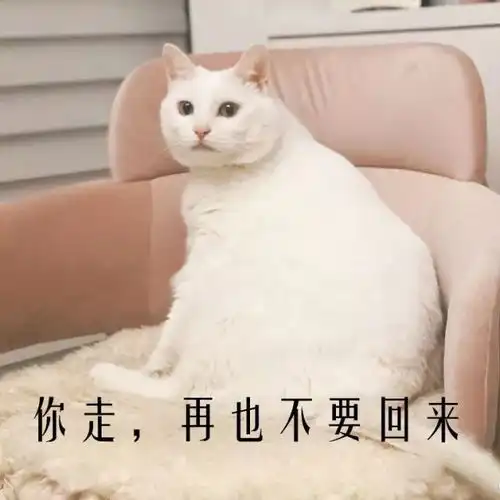  图集丨有了这套表情包,再也不怕撩男神时的尬