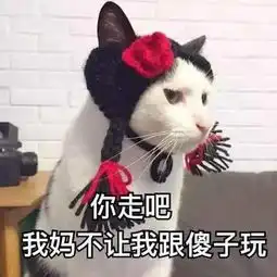  摔预言家没金水,女巫没银水,这狼人杀咋玩