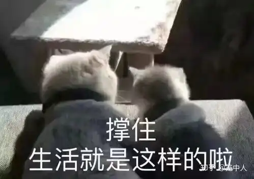 发出猛男的声音表情包文