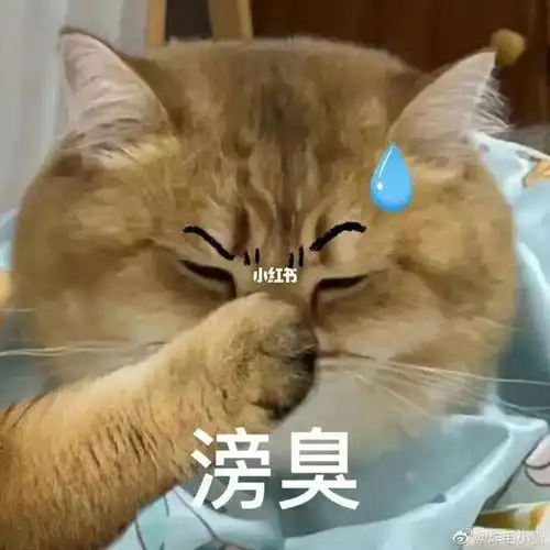  夏天,劝你要用油洗澡不是发癫