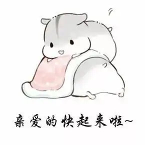  internstalk精品预告