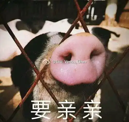 好无聊的微信表情