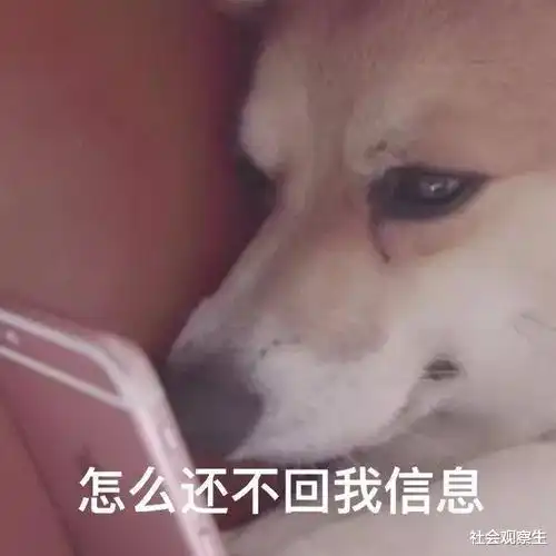  富二代和女网红之间的爱恨情仇事情要从想你的夜开始说起....