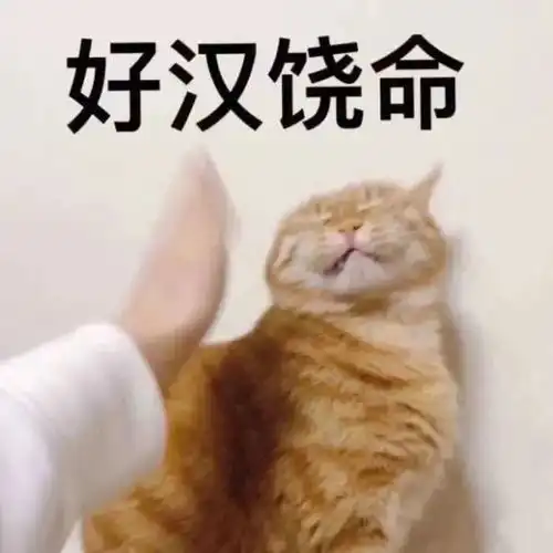  斗图精选表情包大声点,我近视