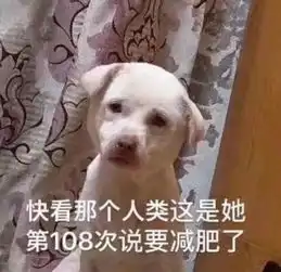  大学生五大真香定律你中了几条