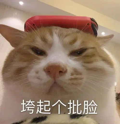  说唱听我的第二期吐槽剧透