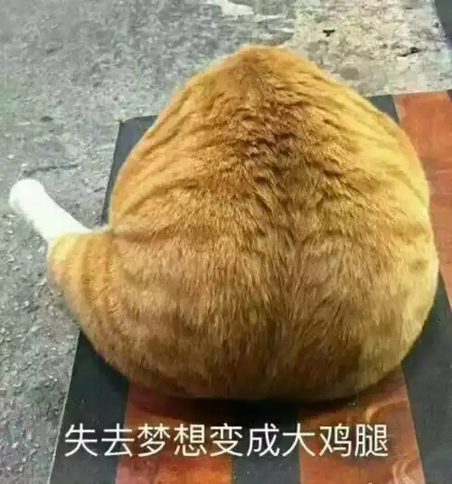  生了孩子就没有春天不,作为全职妈妈的你可以拥有更多辽阔的天空等着你