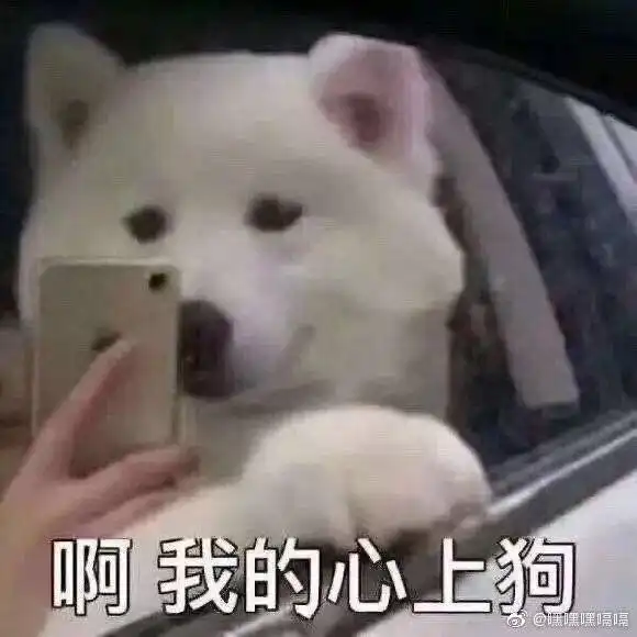  这是昨晚发的歌