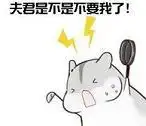  仓鼠夫妻