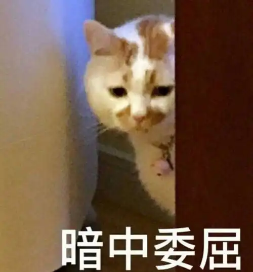  这些平价又好用的清洁面膜,才是闭口黑头的终极克星