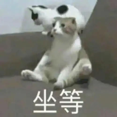  微信号终于能改了