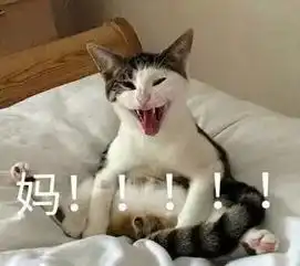  千万别给你妈发这组表情包,不然
