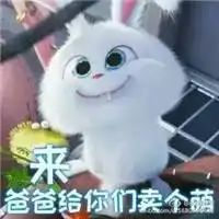 爱宠大机密小白表情包表
