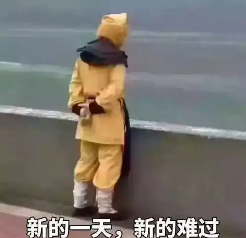 猴子表情包海边走路渣女