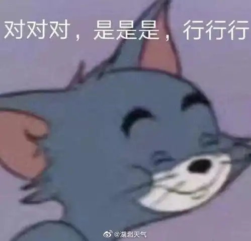  天气回顾