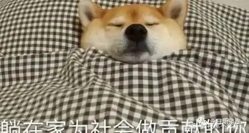 柴犬挨打表情包冷空气