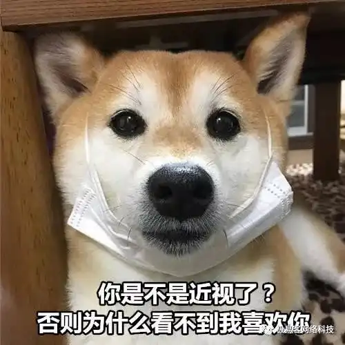  七夕c味出道的土味情话,谨防大猪蹄子...