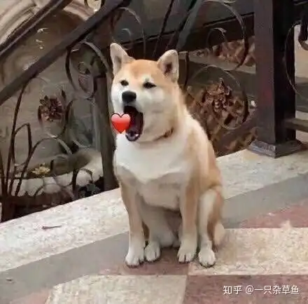 撩男神表情包沙雕
