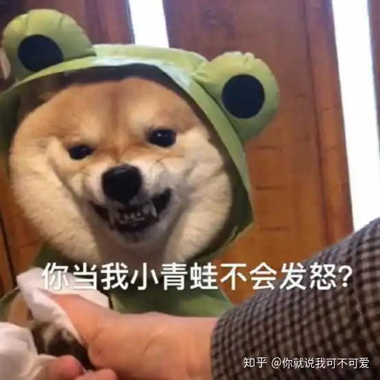 熊猫狗图片表情包狗子