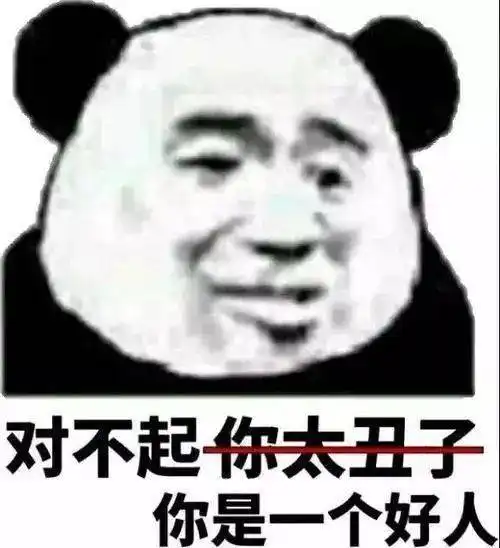  熊猫头表情包i对不起你是一个好人