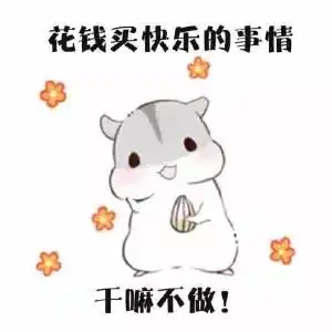  年货风暴引爆全城