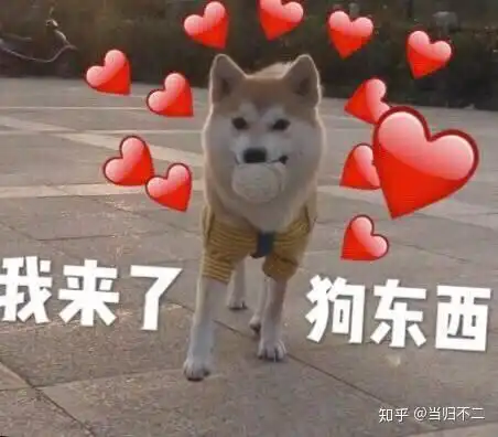 打狗狗表情包是我