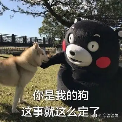 撩男神表情包ign