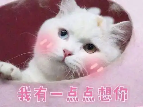  有哪些适合在撒娇时使用的表情包