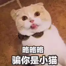  你到底适不适合剪短发看完就知道了