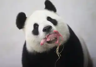  一周外媒动物图片精选