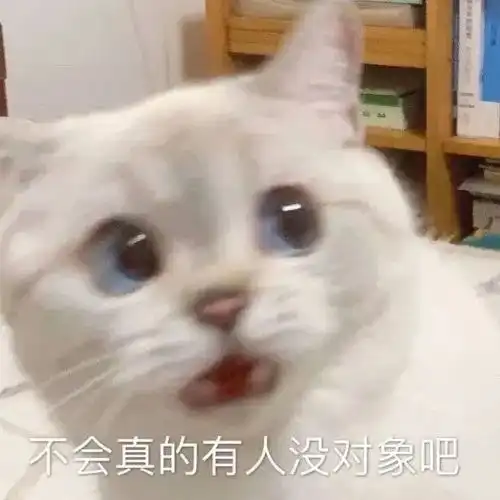 微信胖多拉表情包小动物