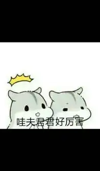 蛋蛋君表情包娘子