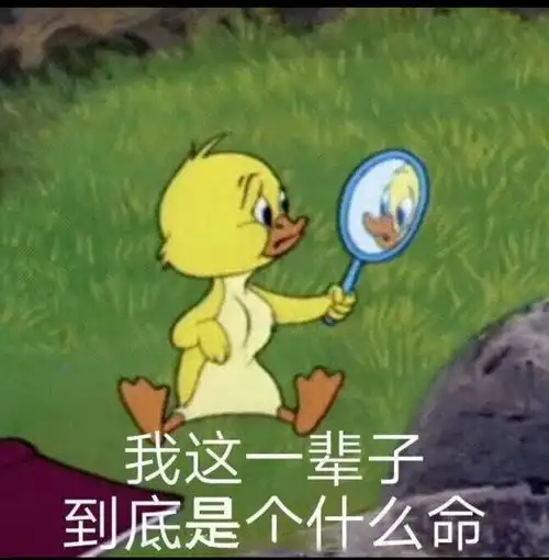  社恐人士参加握手会的一段绝美经历一