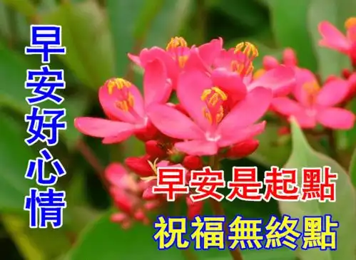  12月26日早上好动态表情图片大全,早上好动图美图大全