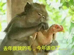  联通已死,散户们快跑吧