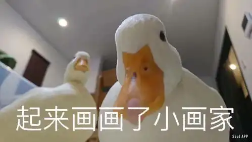 对不起表情包原版王思聪