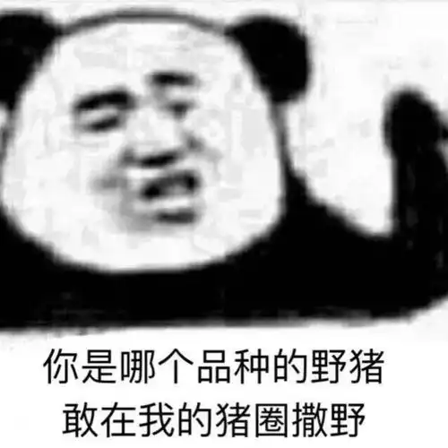  今日份的快乐源泉