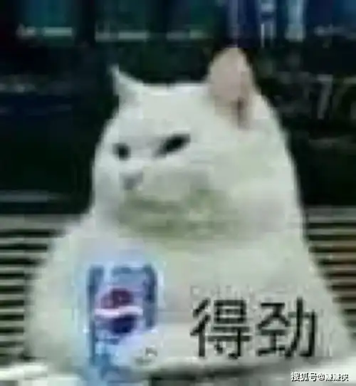  最新表情包图片一脸懵逼的敷衍一笑