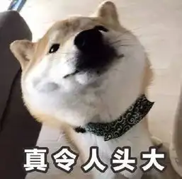  吓广西一村子跑进一条近两米长的蟒蛇,还好有他们
