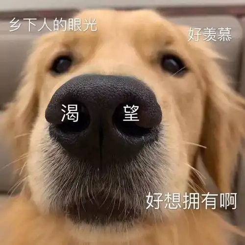  拿去发朋友圈的沙雕句子,没什么用但很好笑