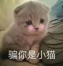  e句话看天下独生子女出国留学定居,留父母在老家,这算不算自私