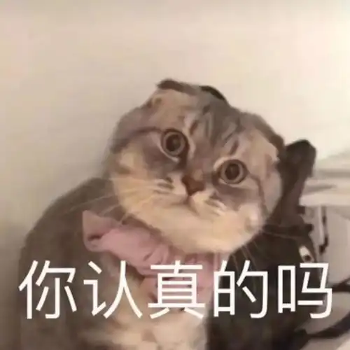  辱骂殴打交警这几位高邮市民成功领取拘留所门票朱某