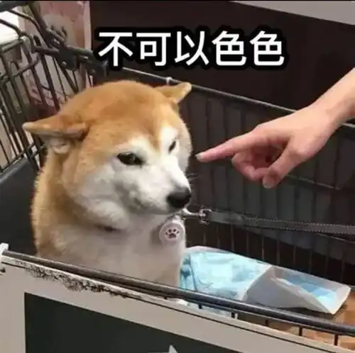  知名互联网meme原型狗柴犬pon去世表情包你用过吗