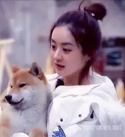 给女神打招呼的表情包头