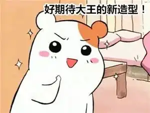  看家鼠表情包i萌萌哒,看着都想自己去养一只了